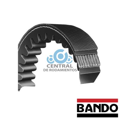 Correa trapezoidal estandar, 3VX530, Longitud externa 53 pulgadas, bando