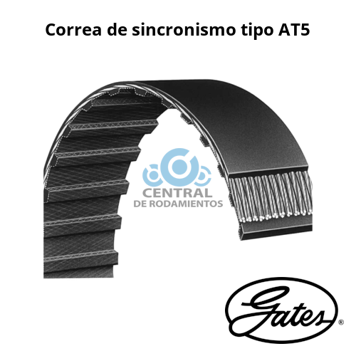 Correa de sincronismo, AT5-975-25, Longitud 975 mm, Numero de dientes 195, Ancho 25 mm, gates