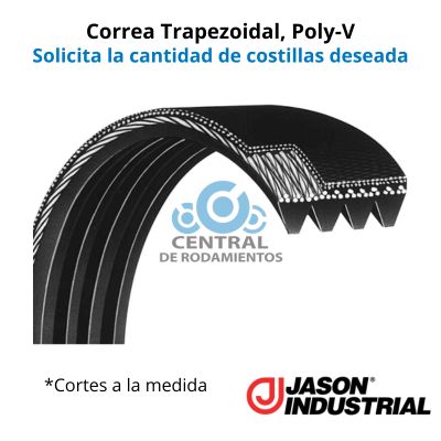 Correa trapezoidal Poly-V, 360J, Longitud externa 36 pulgadas, jason, cantidad de costillas segun lo requerido, cortes a la medida