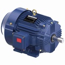 Motor trifasico Nema, Potencia 10 HP, Voltaje de alimentacion 208-230/460 & 190/380 V, Velocidad de giro 1800 RPM, Frame 215T, Enclosure TEFC, Marathon