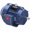 Motor trifasico Nema, Potencia 5.0 HP, Voltaje de alimentacion 208-230/460 & 190/380 V, Velocidad de giro 1800 RPM, Frame 184T, Enclosure TEFC, Marathon