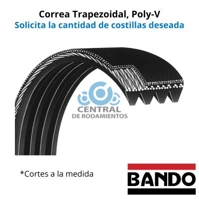 Correa trapezoidal Poly-V, 290J, Longitud externa 29 pulgadas, bando, cantidad de costillas segun lo requerido, cortes a la medida
