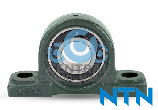 Chumacera de banco, UKP209, Banco de 2 pernos, NTN