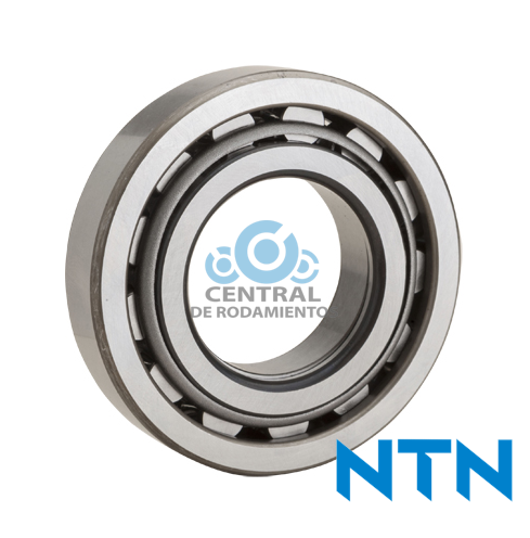 Rodamiento de rodillos cilindricos, NUP310, Diametro interno 50 mm, Diametro externo 110 mm, Ancho 27 mm, NTN